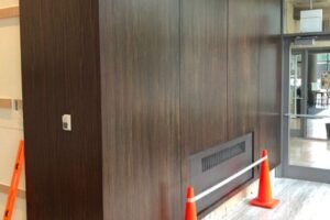 Museum Park Condominium Association Renovation